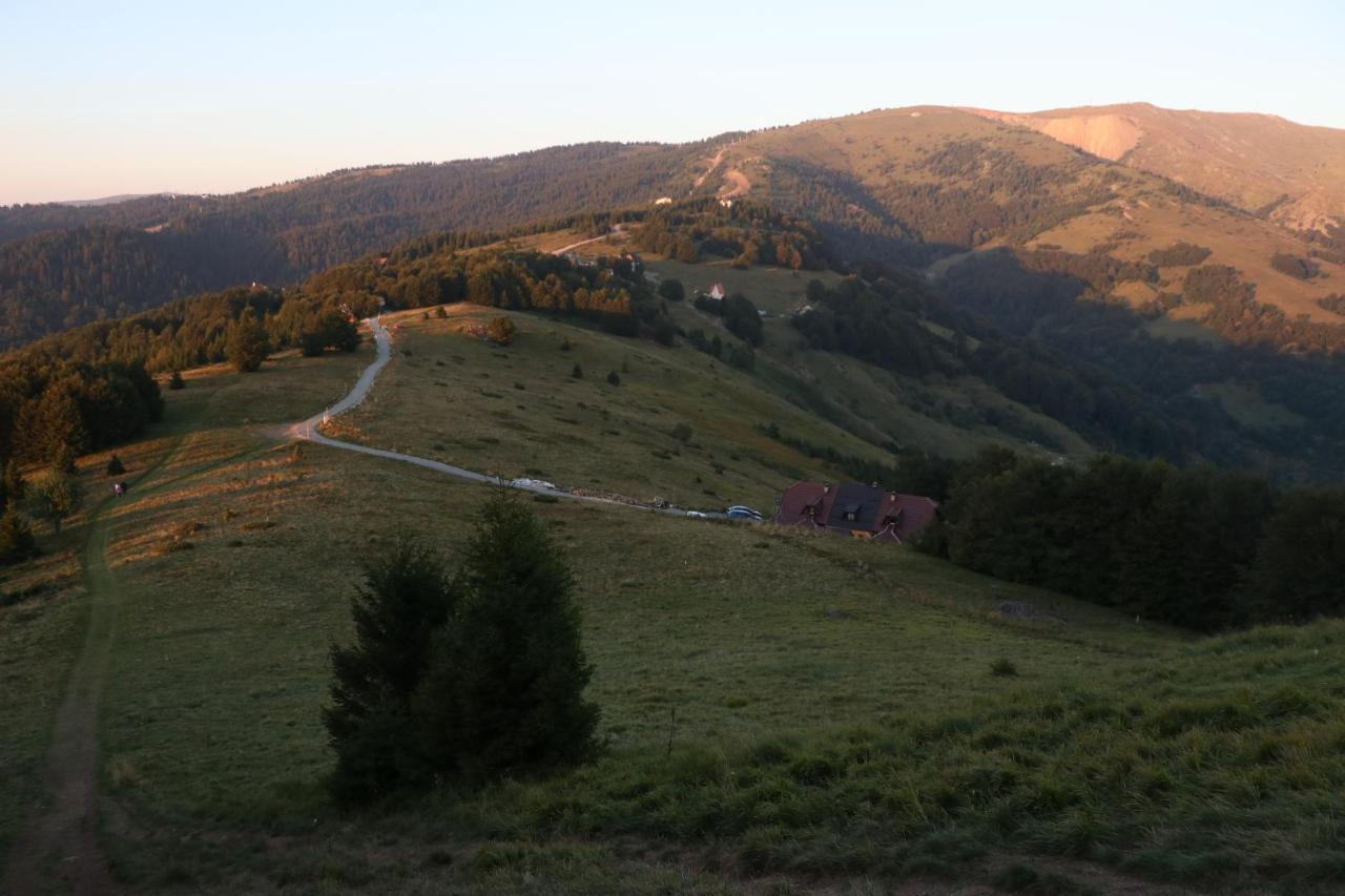 Villa Vikendica Vila Despotovic à Kopaonik Extérieur photo