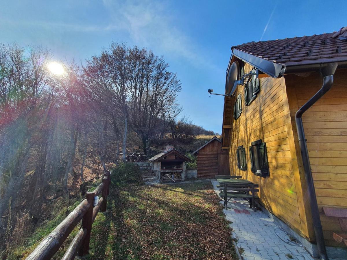 Villa Vikendica Vila Despotovic à Kopaonik Extérieur photo