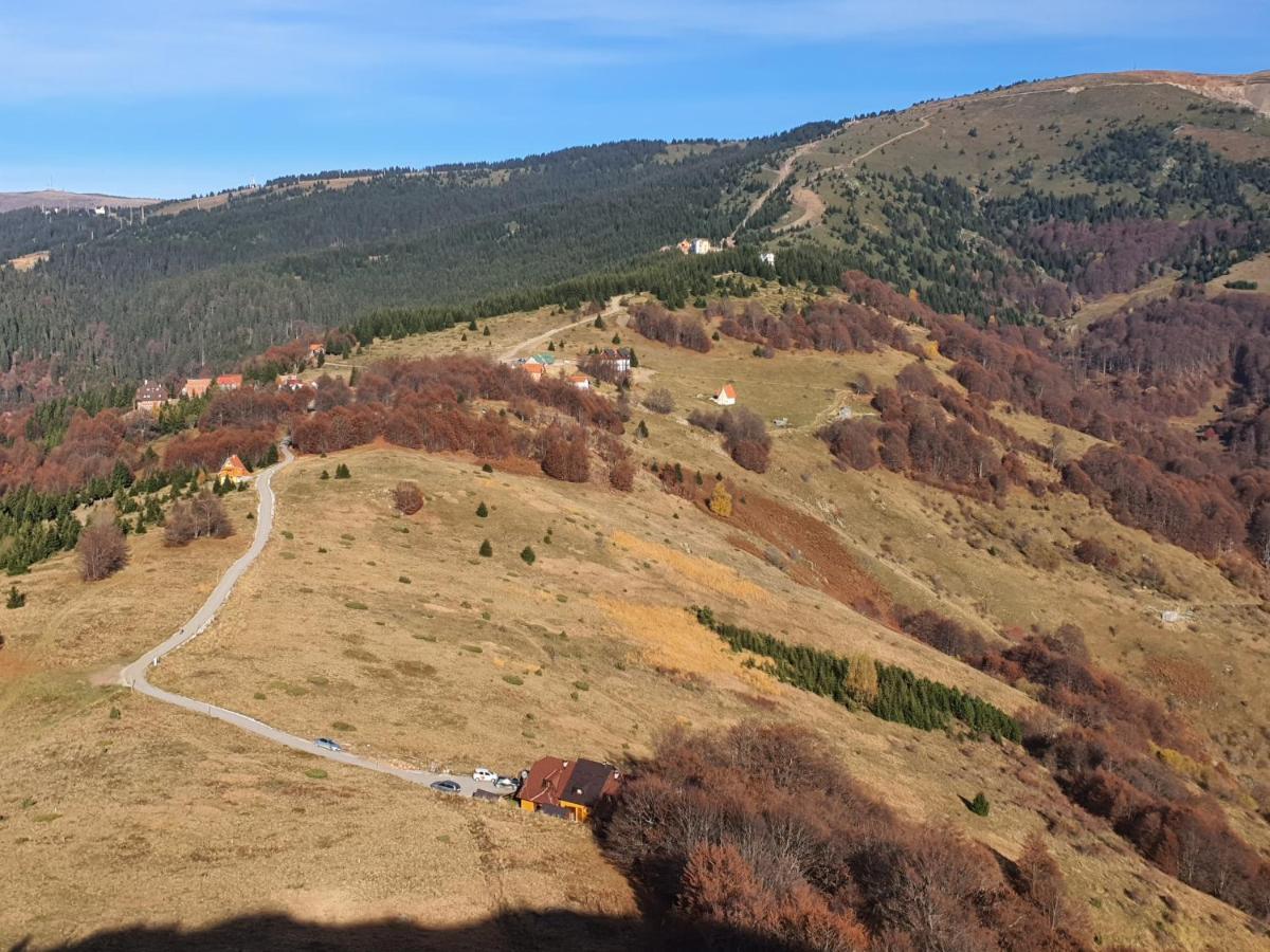 Villa Vikendica Vila Despotovic à Kopaonik Extérieur photo