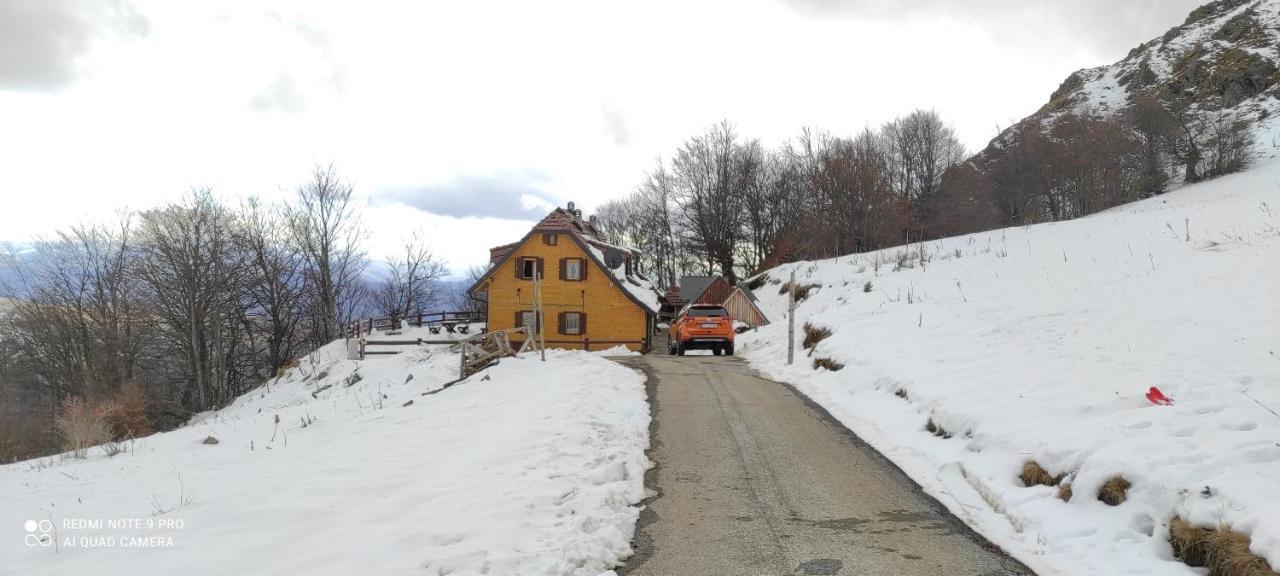 Villa Vikendica Vila Despotovic à Kopaonik Extérieur photo