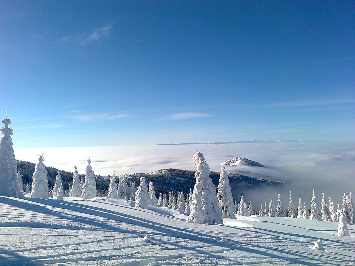 Villa Vikendica Vila Despotovic à Kopaonik Extérieur photo