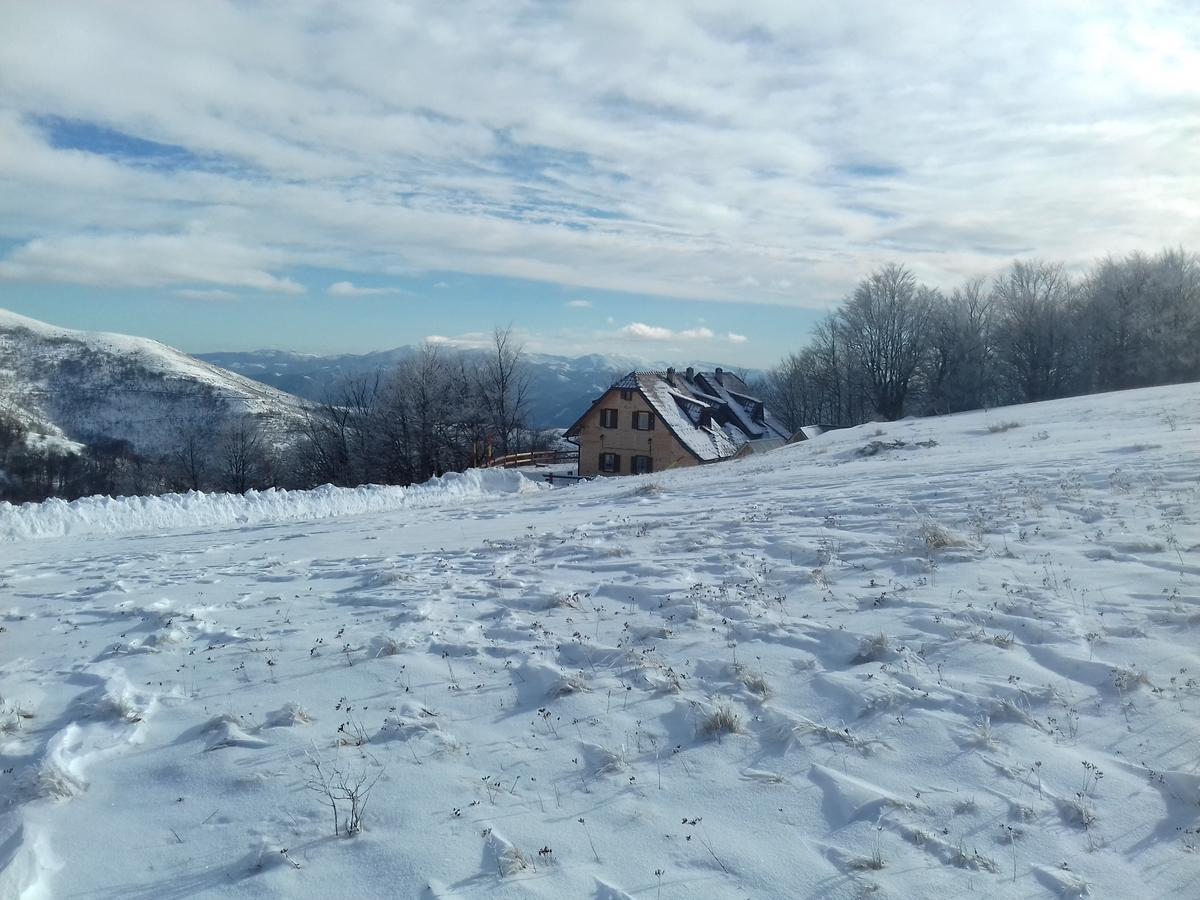 Villa Vikendica Vila Despotovic à Kopaonik Extérieur photo