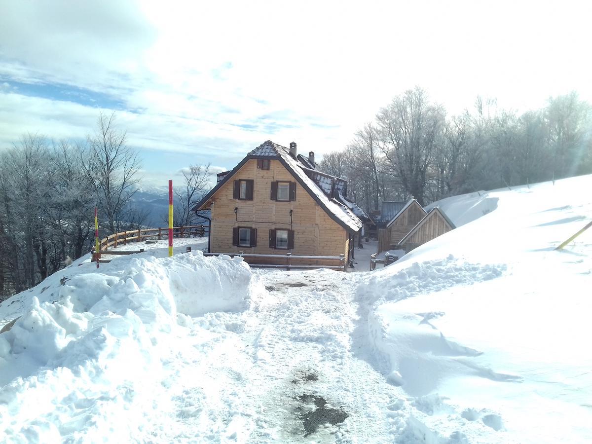 Villa Vikendica Vila Despotovic à Kopaonik Extérieur photo