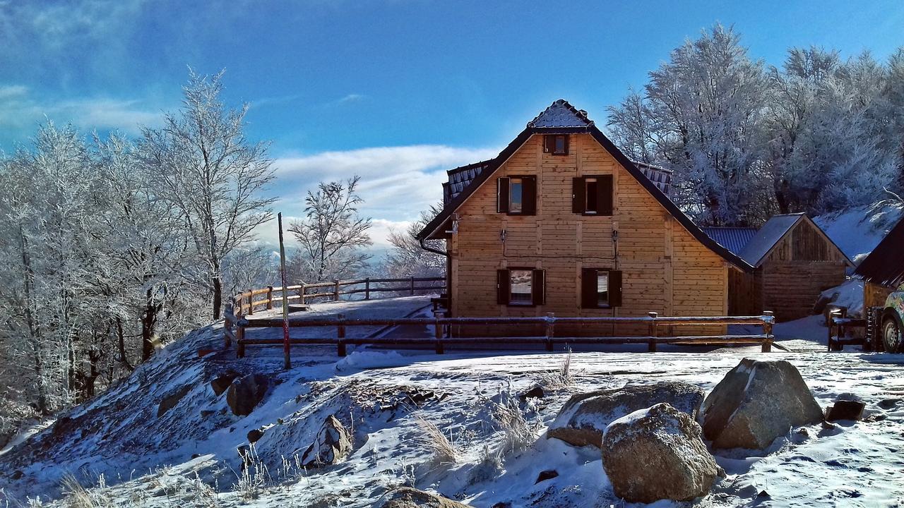 Villa Vikendica Vila Despotovic à Kopaonik Extérieur photo