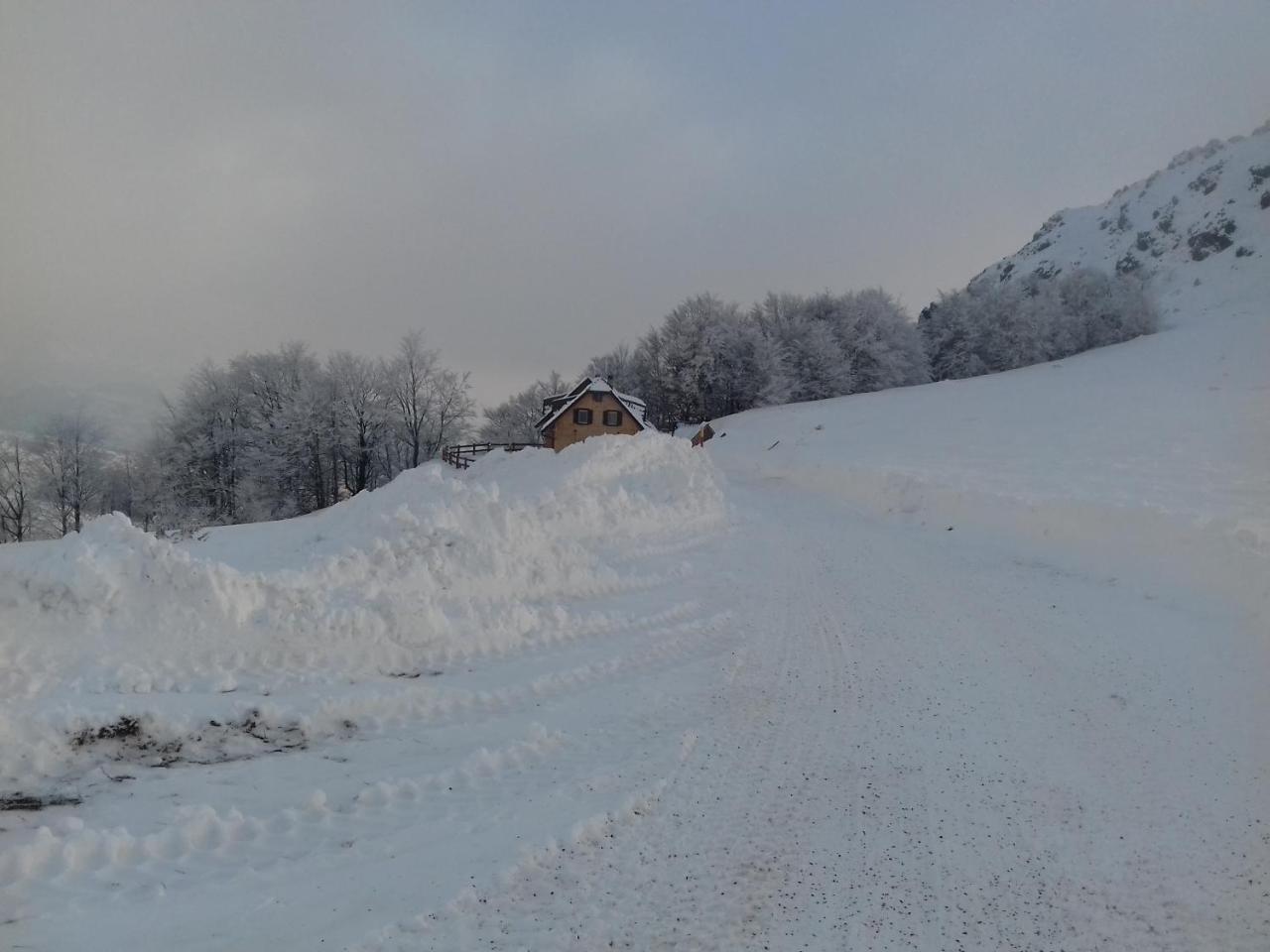 Villa Vikendica Vila Despotovic à Kopaonik Extérieur photo