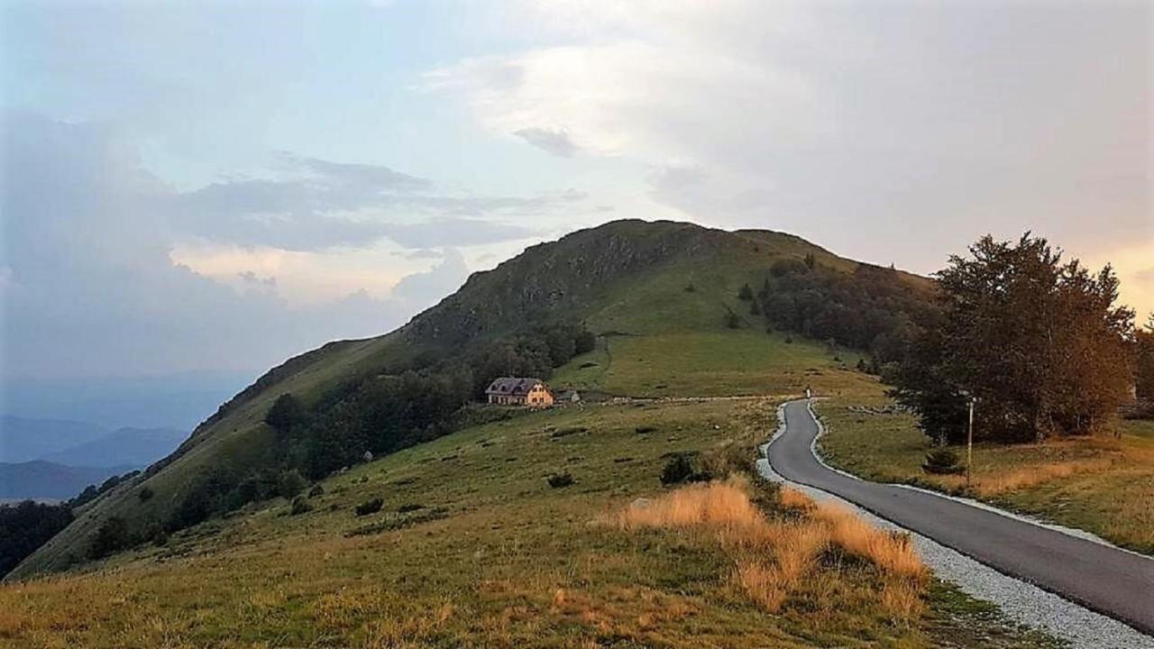 Villa Vikendica Vila Despotovic à Kopaonik Extérieur photo